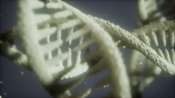 Double Helical Structure of Dna Strand Close-up Animation alt