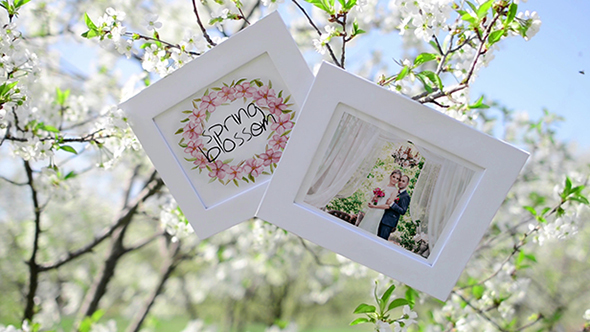 Spring Blossom Slideshow Gallery