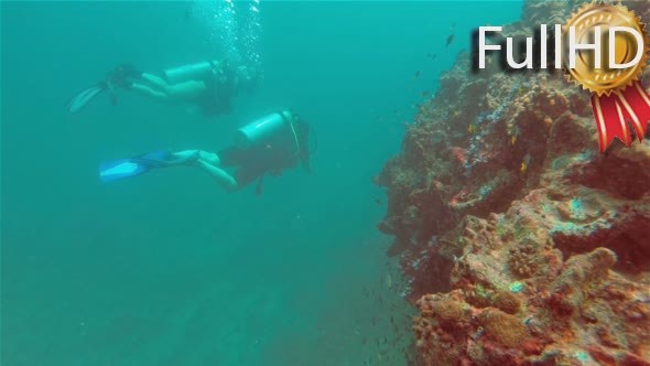 Diving, Two Women, Underwater Coral Reefs