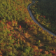 Aerial of Scenic Road with Fall Leaves - VideoHive Item for Sale