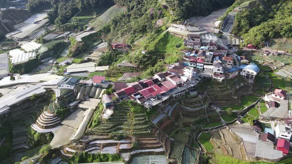 Cameron Highlands, Pahang Malaysia