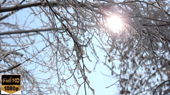 Frost And The Sun 2 alt