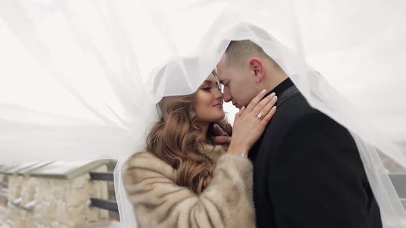 Newlyweds. Caucasian Groom with Bride Making a Kiss Under Veil. Wedding Couple