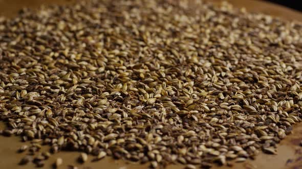 Rotating shot of barley and other beer brewing ingredients - BEER BREWING