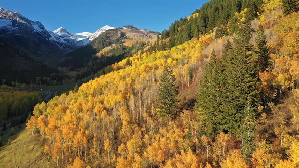 Golden mountain canyon during the Fall season from aerial view