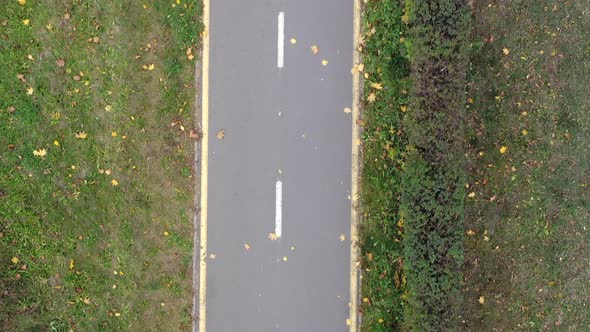 Aerial view Child riding bicycle in autumn park. Active sport family leisure