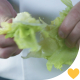 Chef Rips Green Leaf Lettuce - VideoHive Item for Sale