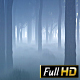 Foggy Wood - VideoHive Item for Sale