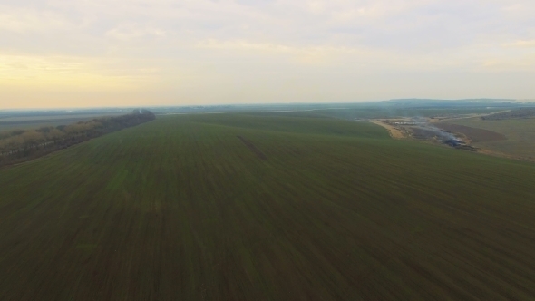 Aerial View Of Field With Wheat