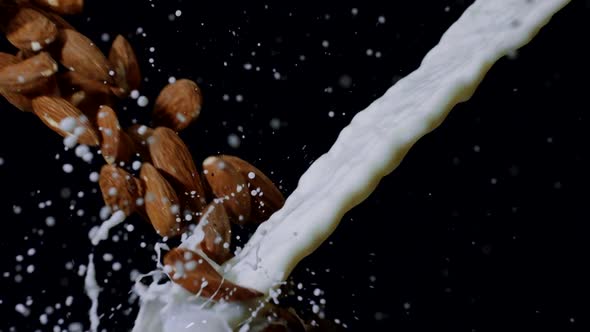 Almonds Flying Into Stream of Milk Splashing with Beautiful Spatter Slow Mo
