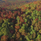 Aerial Fly Over of Autumn Fall Leaves - VideoHive Item for Sale
