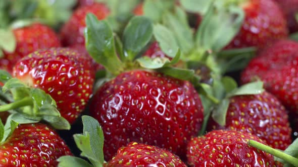 Close Up And Detailed Shot Pile Of Fresh Strawberry 