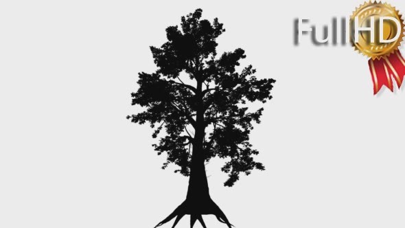 Sassafras Lauraceae Family Silhouette of Animated alt