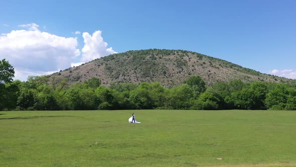 The newlyweds are walking in the meadow