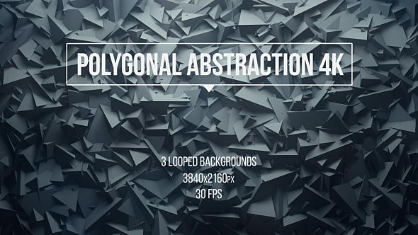 Polygonal Abstraction