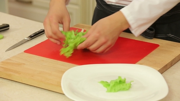Chef Rips Green Leaf Lettuce