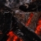 Embers After a Fire - VideoHive Item for Sale