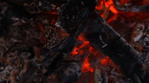 Embers After a Fire