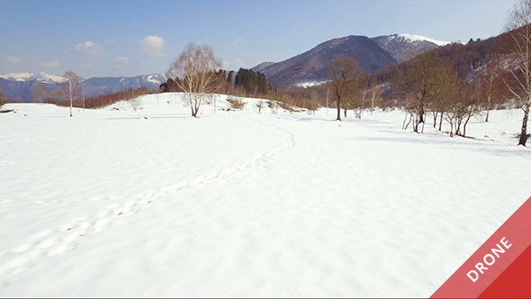 Aerial View of a Snowy Valley from Above in a Sunny Day