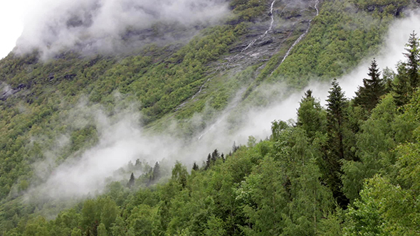 Mountain Forest Fog Norway