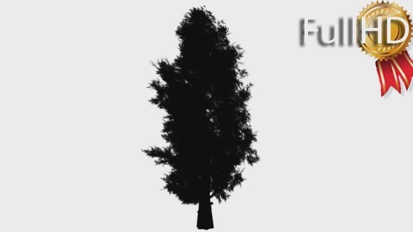 Eastern Red Cedar Silhouette of Animated Tree alt