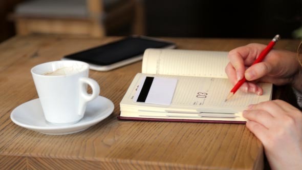 At Lunch Business Woman Doing a Financial Analysis