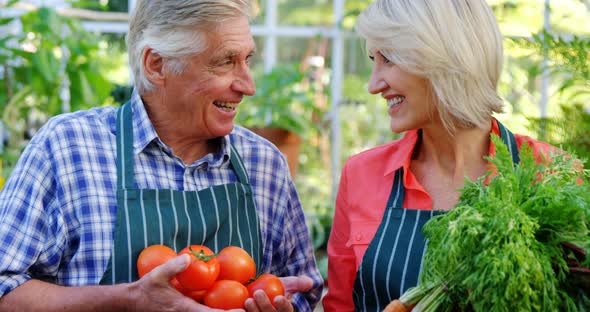 Mature couple checking tomatoes