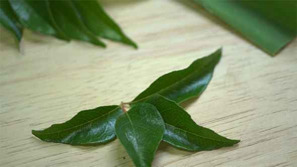 Spicy Curry Leaves for Cooking