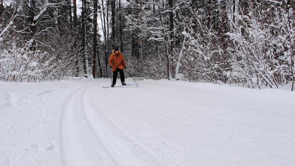 Skier skating on skis in snowy forest with snow. Cross-country skiing