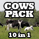 Cows In A Meadow Pack - VideoHive Item for Sale