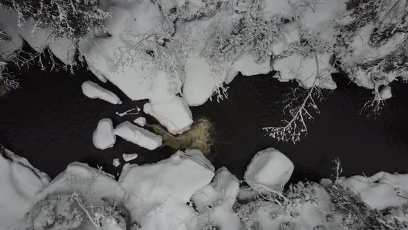 Aerial winter forest with flowing stream 