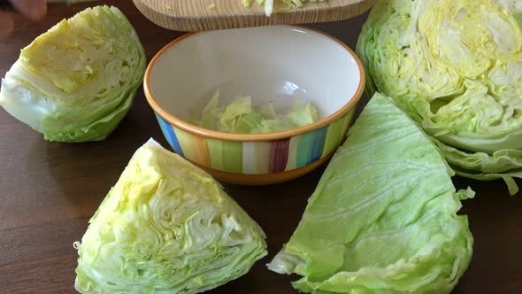 Iceberg lettuce fresh salad leaves. (Lactuca sativa)
