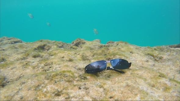 Sunglasses On The Sea Bed Around The Swimming Exotic Fish