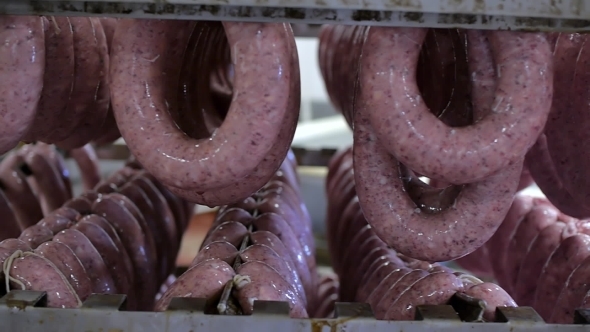 Production Of Sausages In The Meat Industry