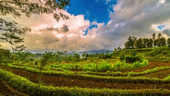 Sunset And Clouds Over Rice Terraces. 15 July 2015, Bali, Indonesia