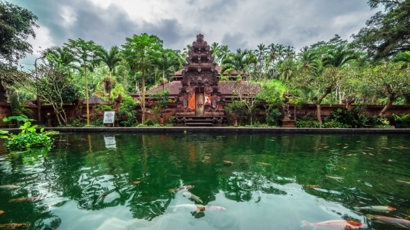 Fish Pond On The Background Of The Temple in Bali, Indonesia