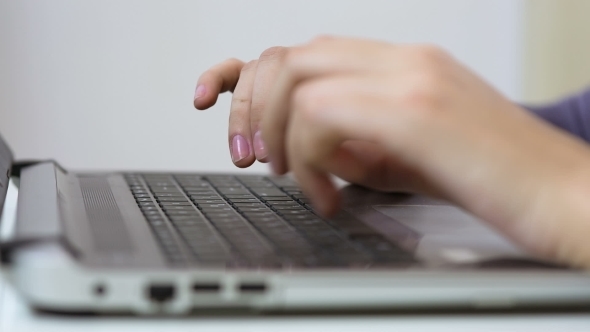 Beauty Woman Using Laptop At Home