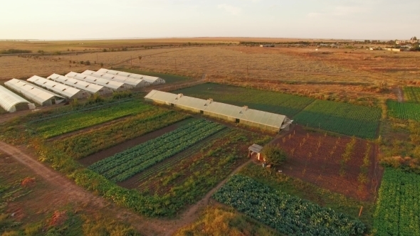 Agricultural Field With Greenhouses Plantations At Sunset