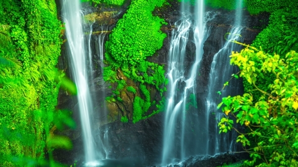 Sekumpul Waterfall High About 80 Meters Or 262 Feet Tall