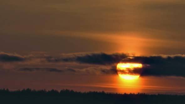 Sunrise Over Forest