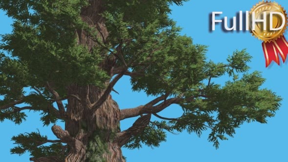 Western Juniper Bright Green Fluttering Leaves alt