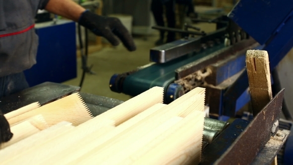 Sawmill. Worker Loads Wooden Slats On Conveyor