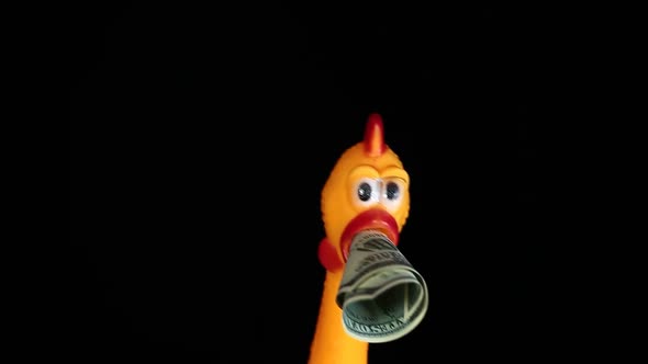 footage of rubber chicken money banknote dark background