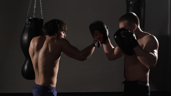 Artful Young Kickboxer Fulfills Blows With Coach. 