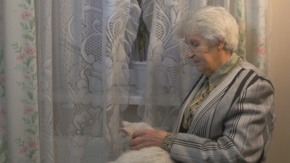 Old Woman Stroking a Cat
