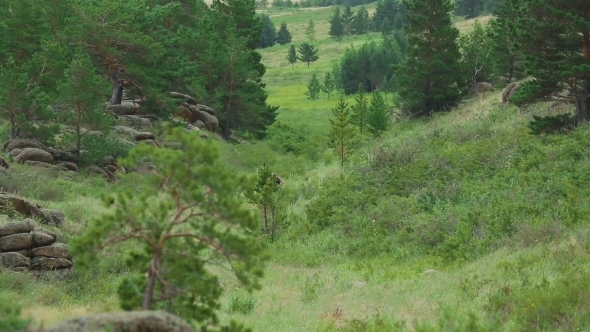 Mountain Valley Jogging