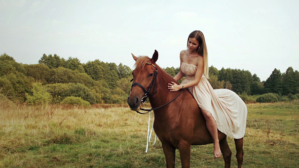 Woman Equestrian Stroking Horse