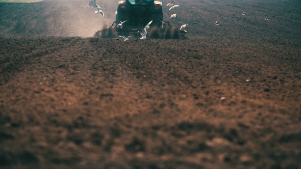 Tractor Plowing Field At Sunset