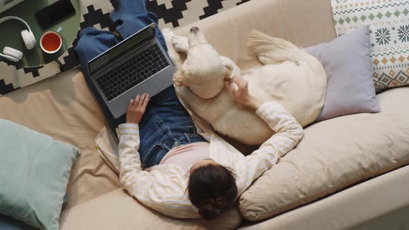 Woman Using Laptop and Petting Dog on Sofa at Home