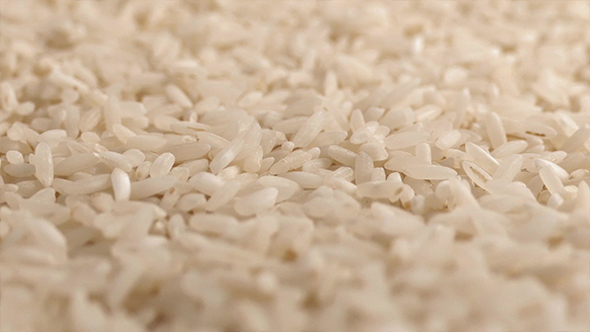 Rice Grains Rotating